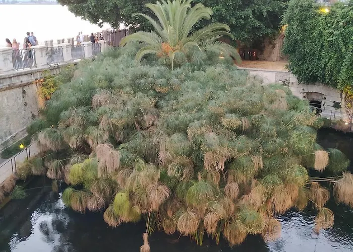 Casa Nicolu *
